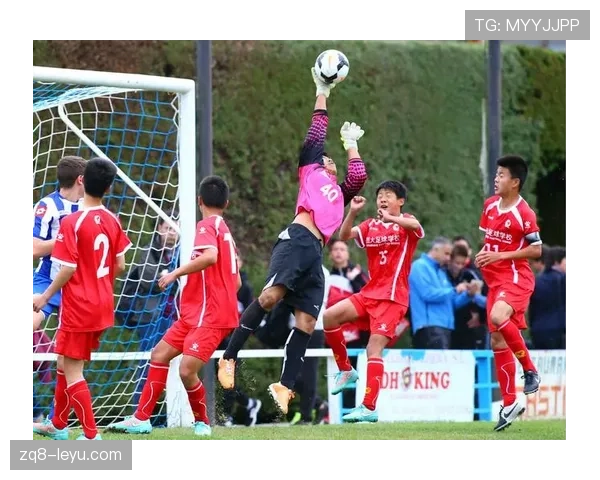 桑普青训系统强势崛起，引领新一代足球人才培养热潮