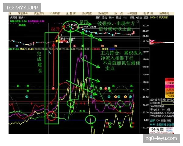 战术博弈定乾坤：足球晋级之路谁将书写冠军传奇？