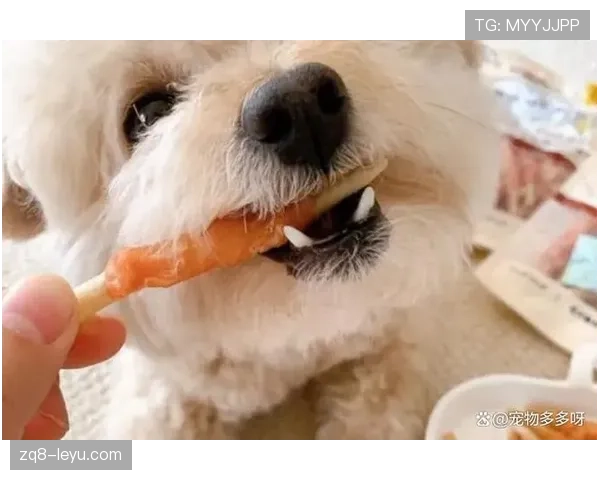 颜骏凌家的狗吃的都比我好